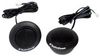 Rockford Fosgate R1T-S Rockford Fosgate R1T-S