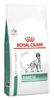 Royal Canin Diabetic Canine 12 kg Royal Canin Diabetic Canine 12 kg