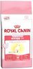 Royal Canin Kitten 36 10 kg Royal Canin Kitten 36 10 kg