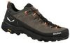 Salewa Alp Trainer 2 GTX Herren Salewa Alp Trainer 2 GTX Herren