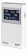 Sangean DPR-39 Sangean DPR-39