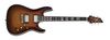 Schecter C-1 Custom Schecter C-1 Custom