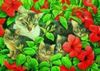 Schmidt Spiele Katzenfamilie Schmidt Spiele Katzenfamilie