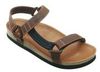 Scholl Heaven Scholl Heaven