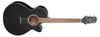 Takamine GF30CE Takamine GF30CE