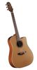 Takamine P3DC Takamine P3DC