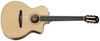 Taylor 214ce-N Taylor 214ce-N