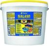 Tropical Malawi 11 l Tropical Malawi 11 l
