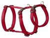 Wolters Cat & Dog Professional Geschirr No Escape XL Wolters Cat & Dog Professional Geschirr No Escape XL