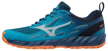 Mizuno
