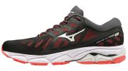 Mizuno