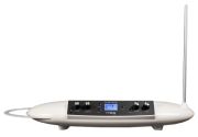 Moog Theremini