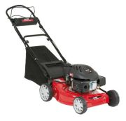 MTD