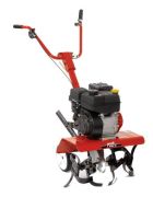 MTD