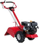 MTD