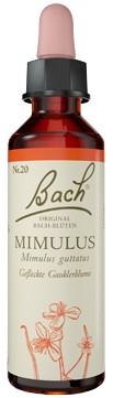 Murnauers Bachblüten Mimulus Tropfen 20 ml Murnauers Bachblüten Mimulus Tropfen 20 ml