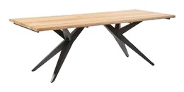 Musterring Holland Gartentisch 220 x 95 cm