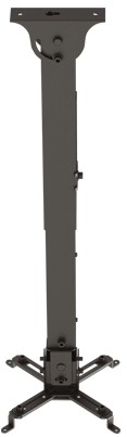 My