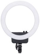 Nanlite