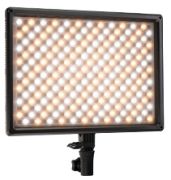 Nanlite