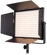 Nanlite