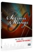 Native Instruments Session Strings