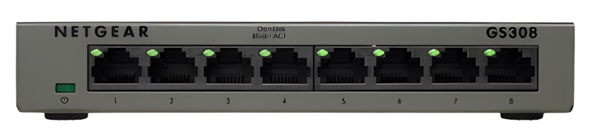 Netgear GS308-300PES