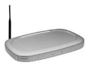 Netgear