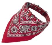 Nobby Halsband mit Tuch 40 cm