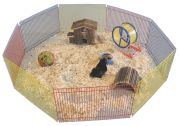 Nobby Hamster Freilauf