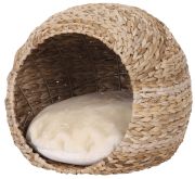 Nobby Höhle Lasa