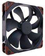 Noctua