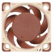 Noctua