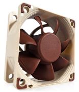 Noctua
