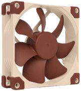 Noctua