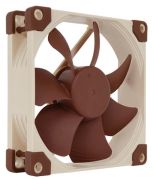 Noctua