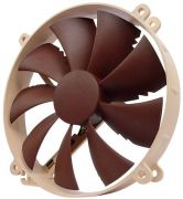Noctua