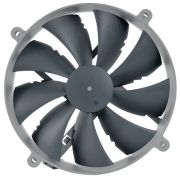 Noctua