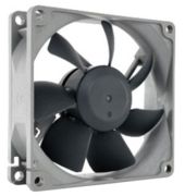 Noctua