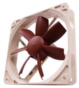 Noctua