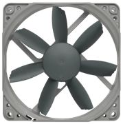 Noctua