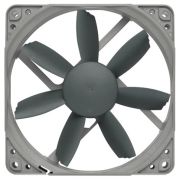 Noctua