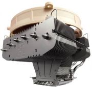 Noctua