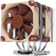 Noctua