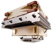 Noctua