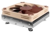 Noctua