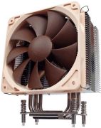 Noctua