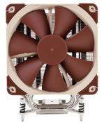 Noctua