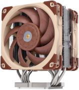 Noctua