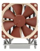 Noctua